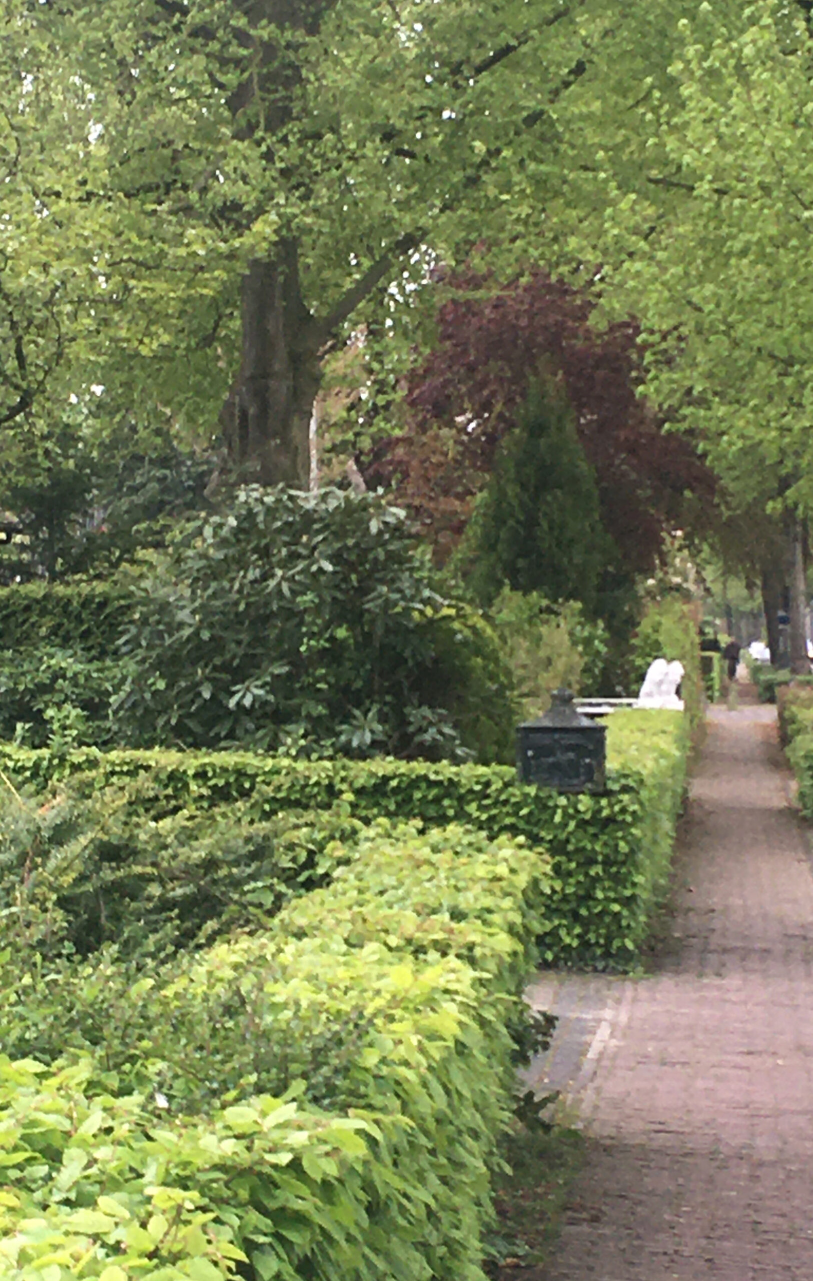 Groen(!)straat, Udenhout